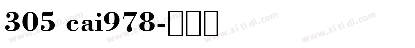 305 cai978字体转换